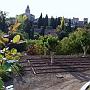 partie des potagers